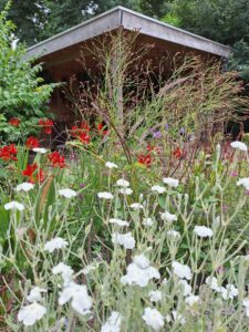 Bloemenborder Purmerend