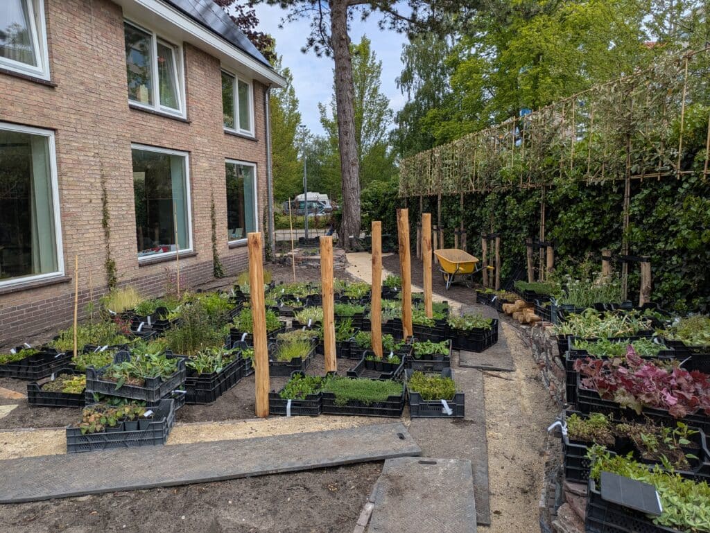 planten voor tuinontwerp